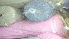 bolsas